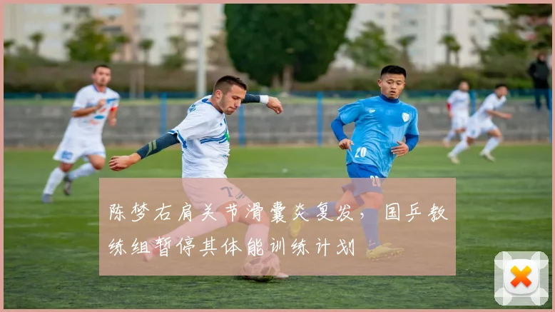 陈梦右肩关节滑囊炎复发，国乒教练组暂停其体能训练计划